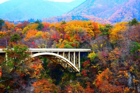 宮城　紅葉　秋　鳴子　温泉　観光地　ドライブ　ツーリング　最高の景色 (1)